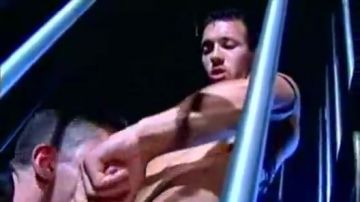 Guys have a wild time in a cage
