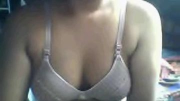 Great Malaysian tits