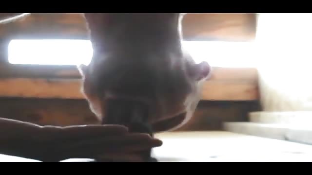 Older Guy Sucks Black Cock In Glory Hole Porndroids